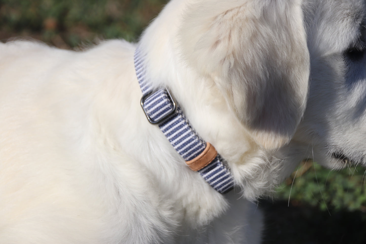 Collier marin rayé bleu