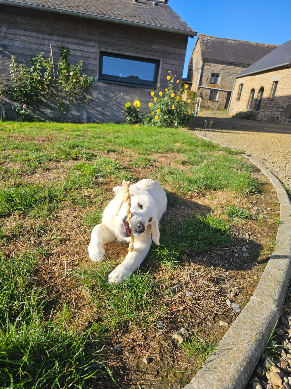 Tresse en peau de buffle