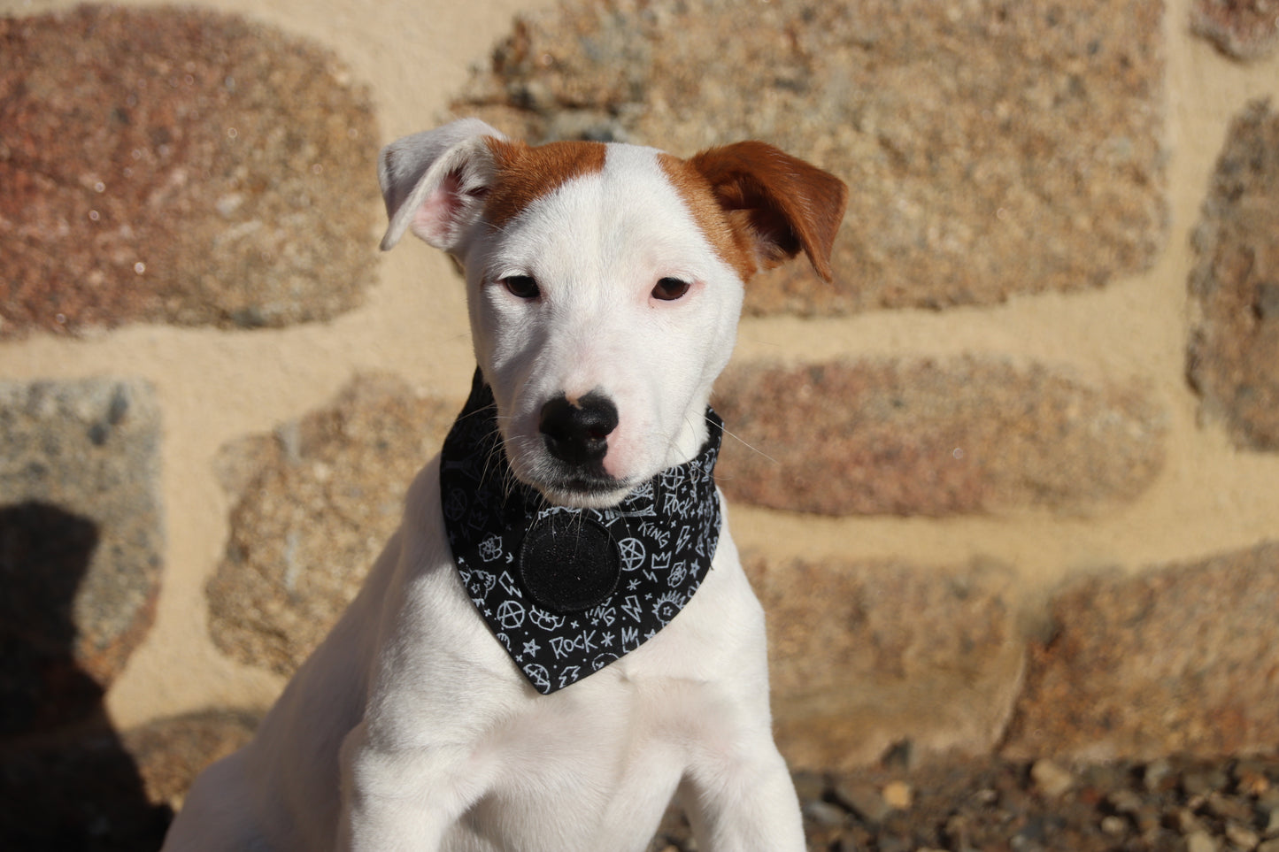 Bandana Rock&Roll Noir