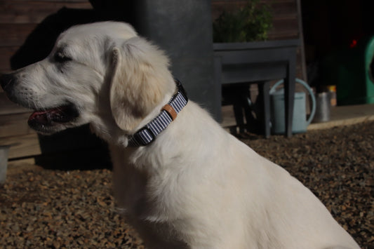 Collier marin rayé bleu