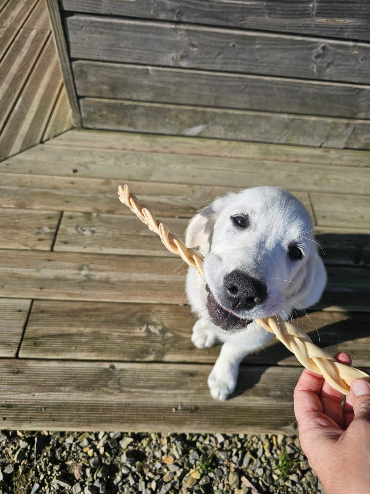 Tresse en peau de buffle