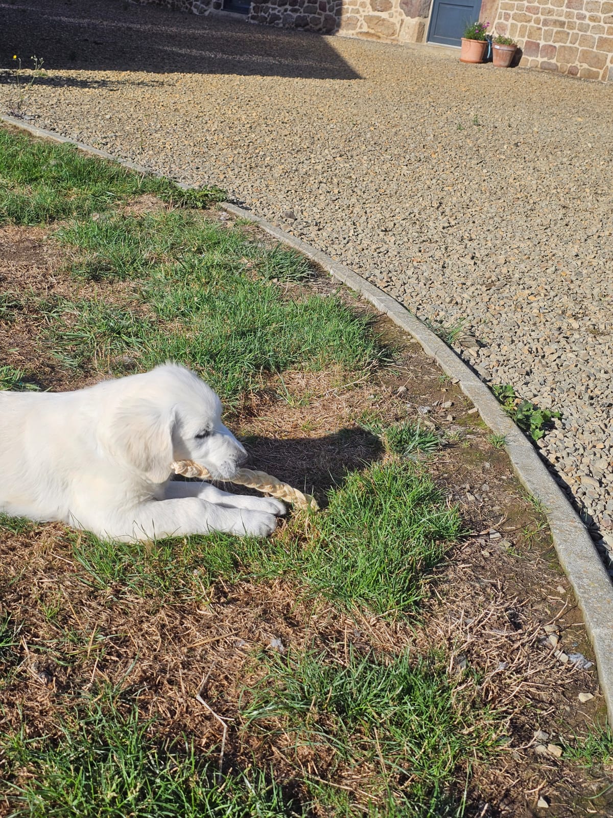 Tresse en peau de buffle