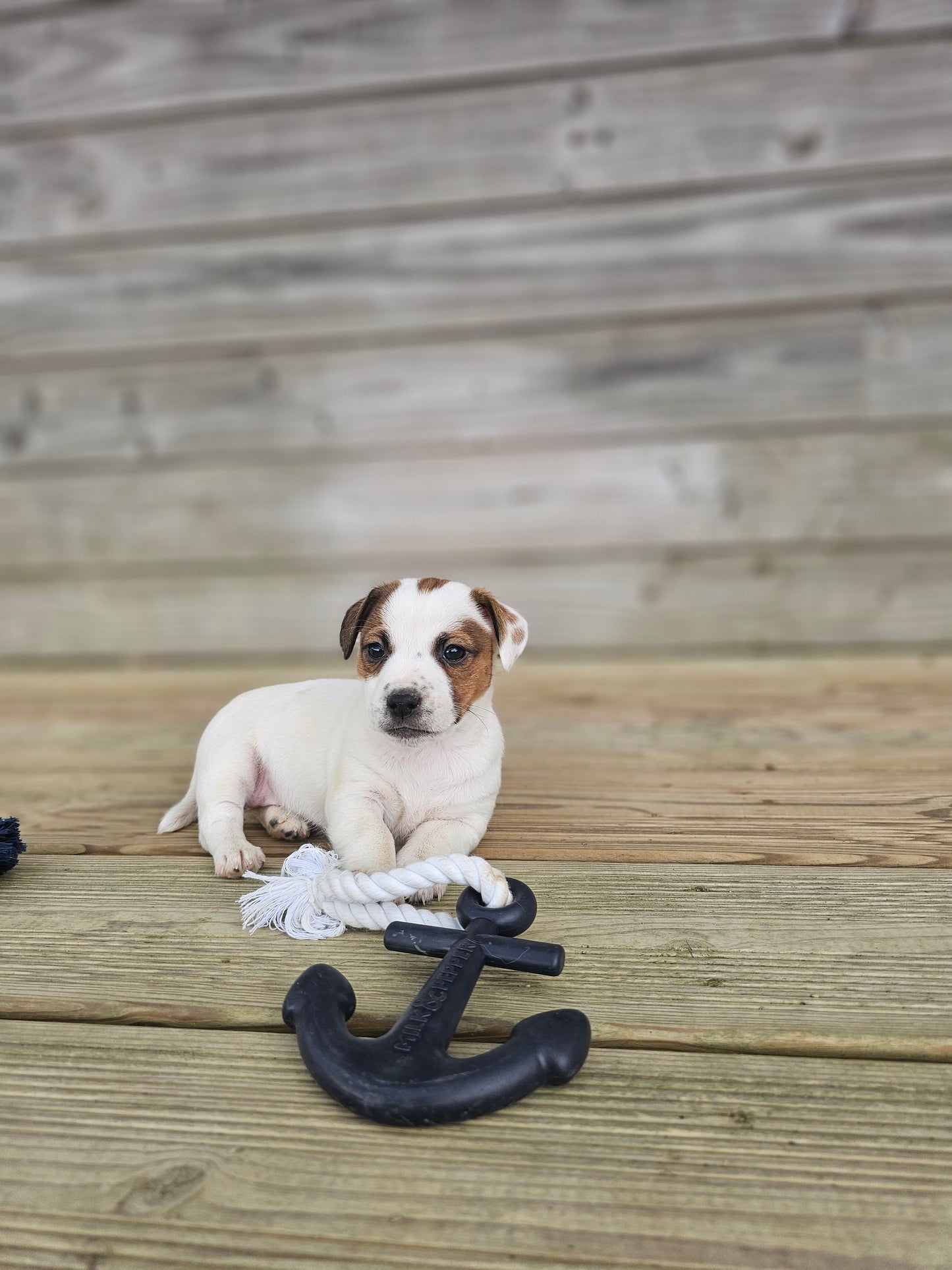 jouet "Ancre marine"