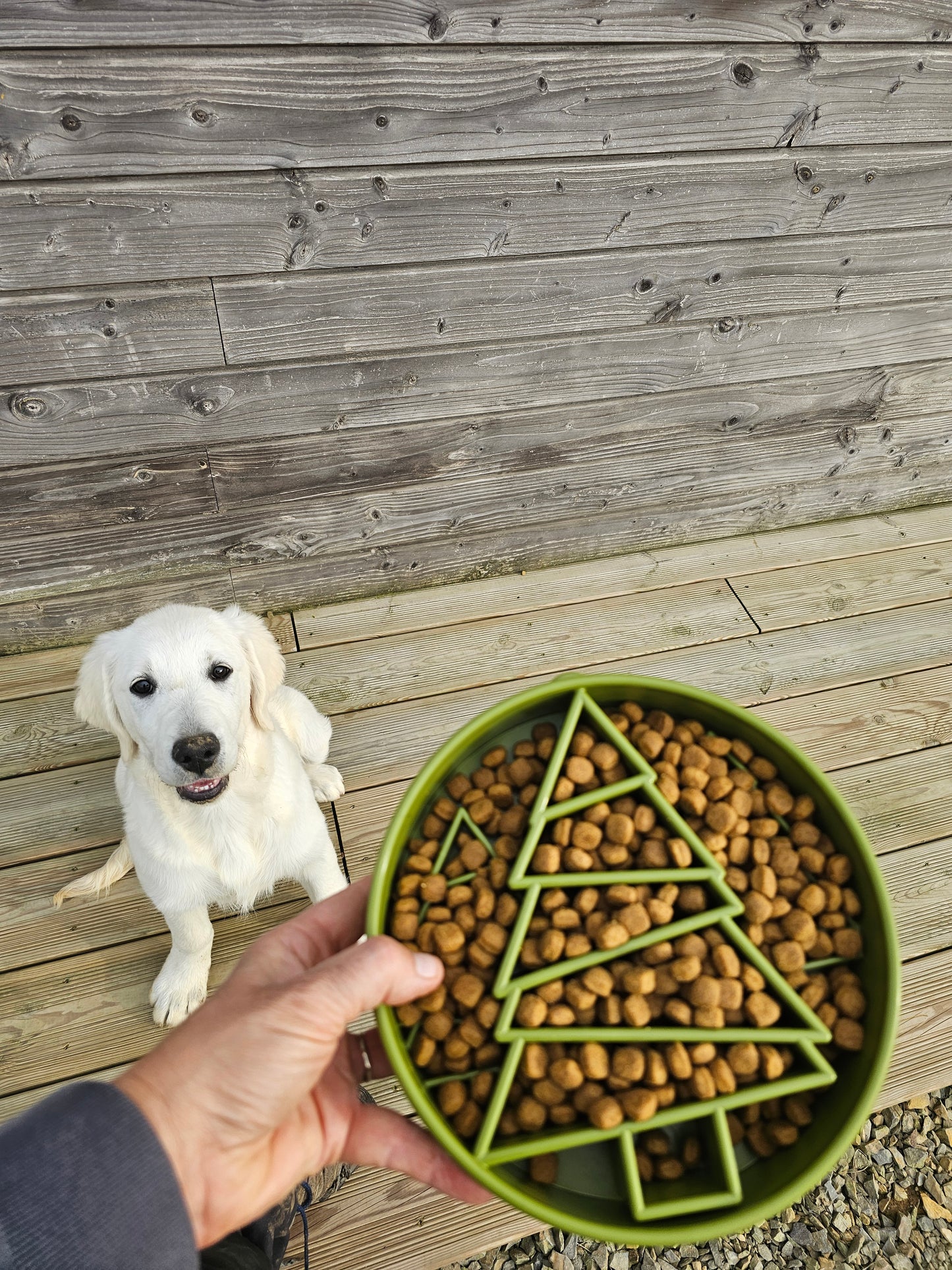 Gamelle anti glouton sapin