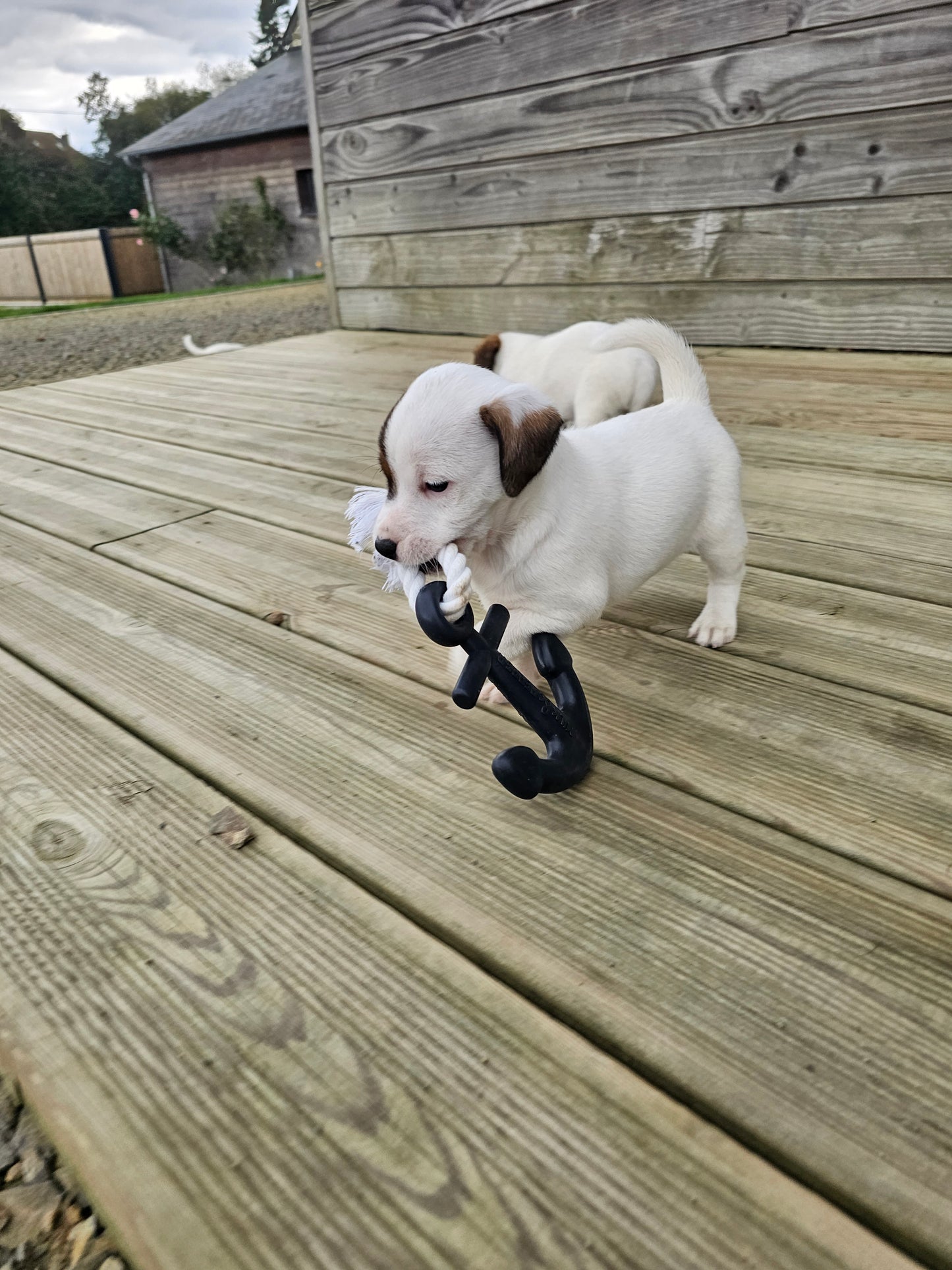 jouet "Ancre marine"